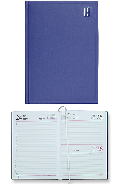 Ежедневник датированный Frame 5450 (650) 145x205 мм светло-синий