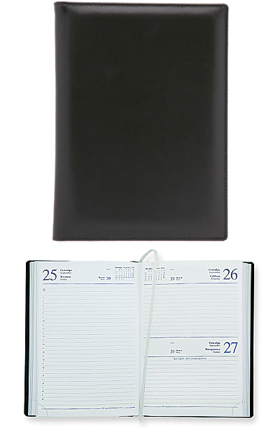 Ежедневник датированный Siena 5454 145x205 мм белый блок, посеребренный срез, черный сер.ср.