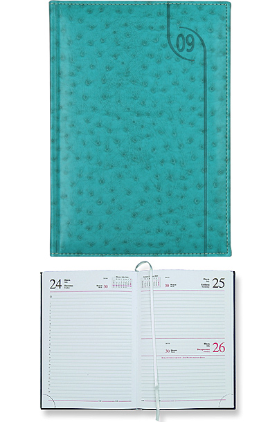 Ежедневник датированный Struzzo  5450 (650) 145x205 мм аквамарин