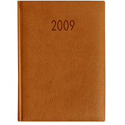 Ежедневник датированный Dollaro 5450 (650) 145x205 мм оранжевый