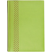 Ежедневник датированный Empire 5450 (650) 145x205 мм зеленый/зеленый
