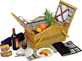 Пикник-сет «Шампань» на 4 персоны с комплектом посуды, скатертью, чехлом для бутылки
