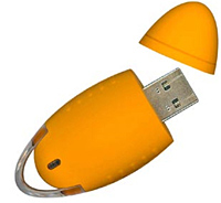 Овальная USB флешка _ серия FB